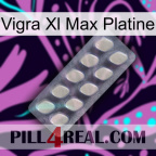 Vigra Xl Max Platinum 08